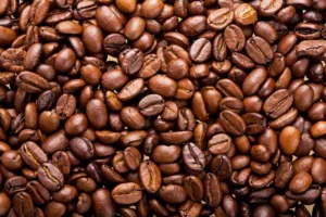 Arabica coffee bean