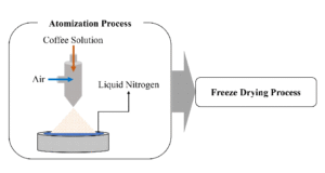 Freeze Drying Process