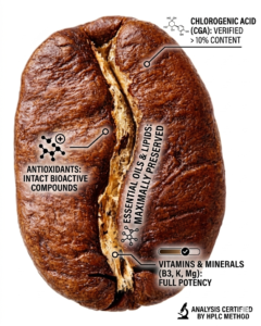 Preserving the essence of coffee beans with advanced freeze-drying 2