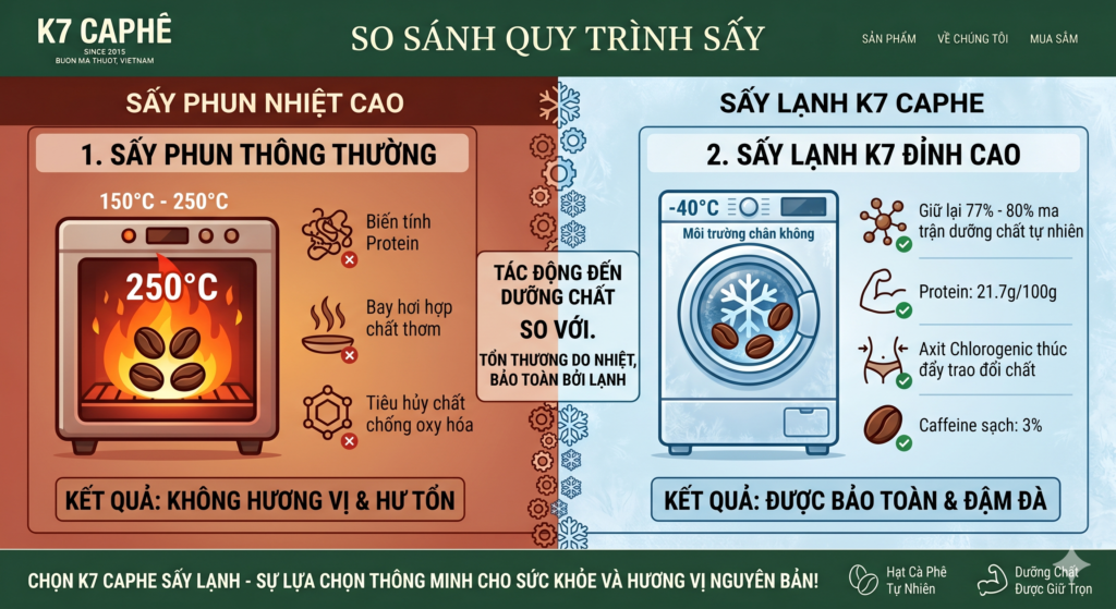 VN_Khac biet giua say lanh va say phun